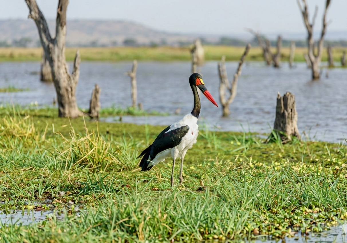 Semuliki National Park